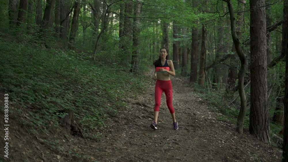 Fitness woman jogging down a forest path, front view Fitness woman jogging down a forest path, front view