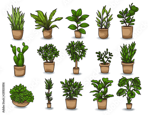 Pot plant set of hand drawn houseplants. vector illustration