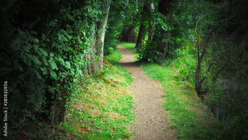 foret foret