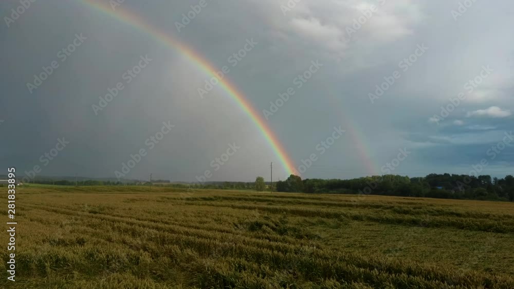 Rainbow Above Wheat Field. Flight Above Ripe Crop Field After Rain and Colorfull Rainbow in Background Rural Countryside. Areal Dron Shoot. Rainbow Above Wheat Field. Flight Above Ripe Crop Field After Rain and Colorfull Rainbow in Background Rural Countryside. Areal Dron Shoot.