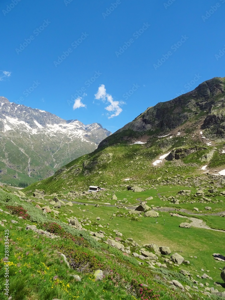 The Alps with its woods and glaciers near Monte Rosa and the town of Macugnaga, Italy - July 2019.