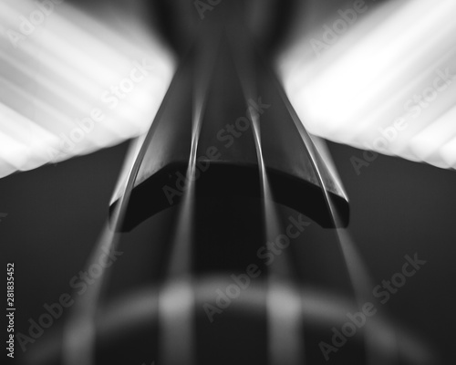 Photography Black and White Jazz Bass
