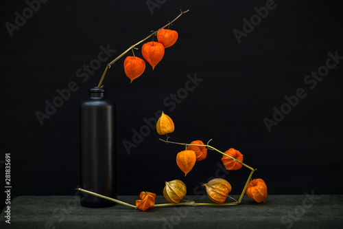 Still life with a branch of Physalis in a black bottle