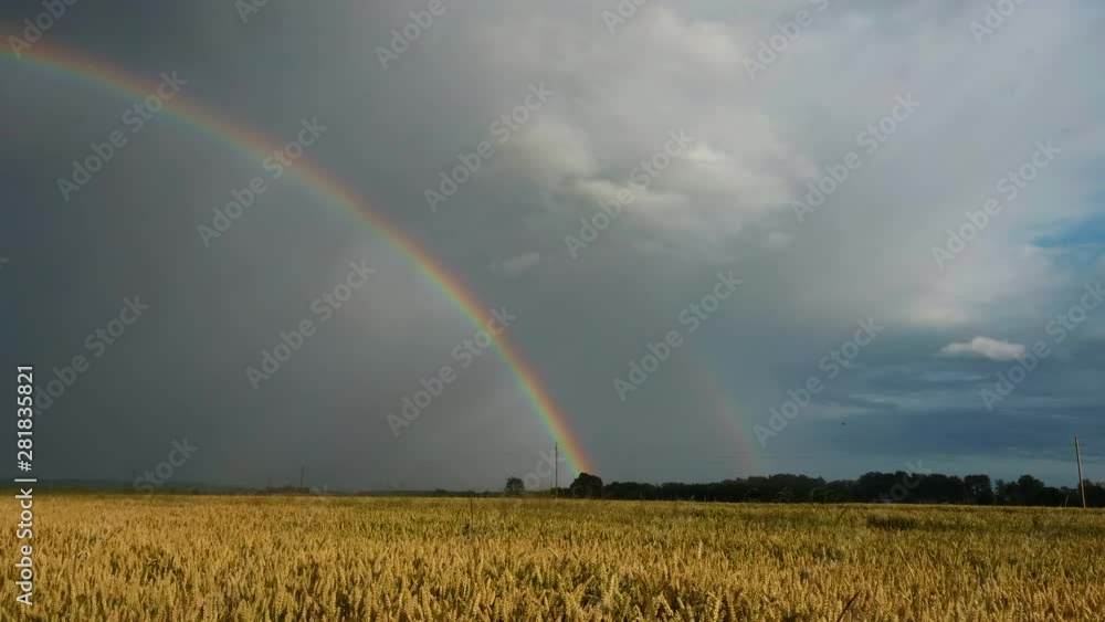 Rainbow Above Wheat Field. Flight Sideward Ripe Crop Field After Rain and Colorfull Rainbow in Background Rural Countryside. Aerial Dron Shot. Rainbow Above Wheat Field. Flight Sideward Ripe Crop Field After Rain and Colorfull Rainbow in Background Rural Countryside. Aerial Dron Shot.