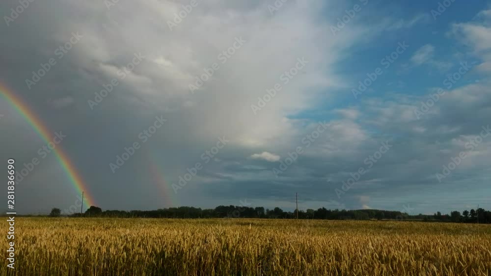 Rainbow Above Wheat Field. Flight Sideward Ripe Crop Field After Rain and Colorfull Rainbow in Background Rural Countryside. Aerial Dron Shot. Rainbow Above Wheat Field. Flight Sideward Ripe Crop Field After Rain and Colorfull Rainbow in Background Rural Countryside. Aerial Dron Shot.