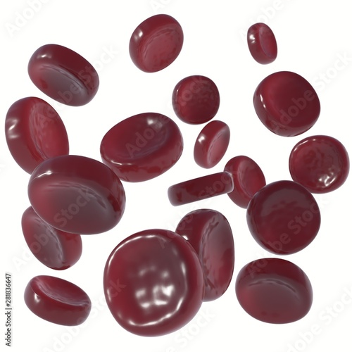 Red Blood Cells photo