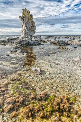 Raukar formation, a limesto...