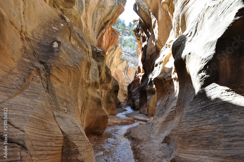 willis creek slot canyon in utah photo