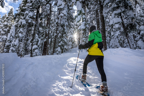 Snowshoeing photo