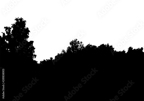 Black tree forest silhouette. Card with copy space. Isolated on white background. Vector nature illustration