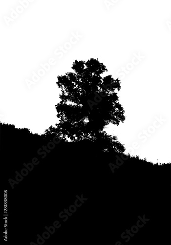 Black tree forest silhouette. Card with copy space. Isolated on white background. Vector nature illustration