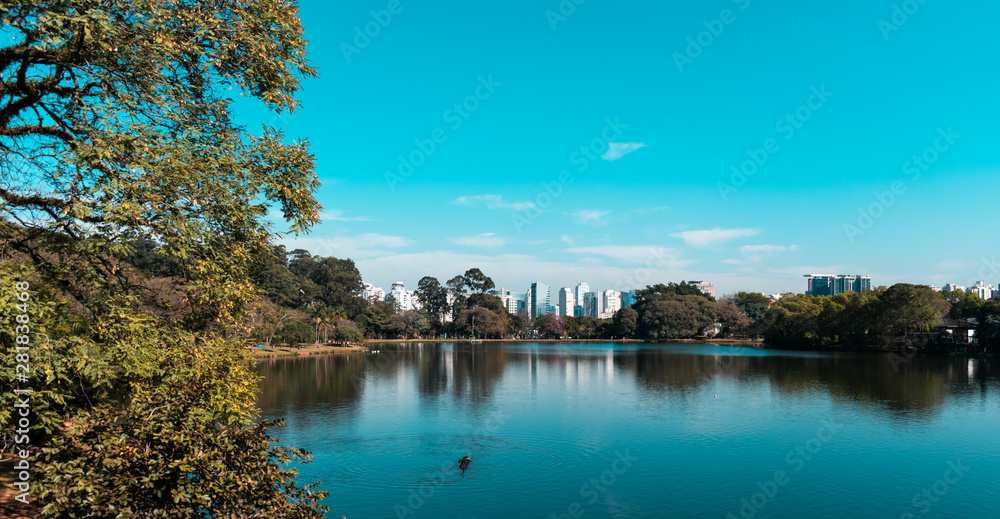 Obraz premium Ibirapuera Park, São Paulo - BRAZIL