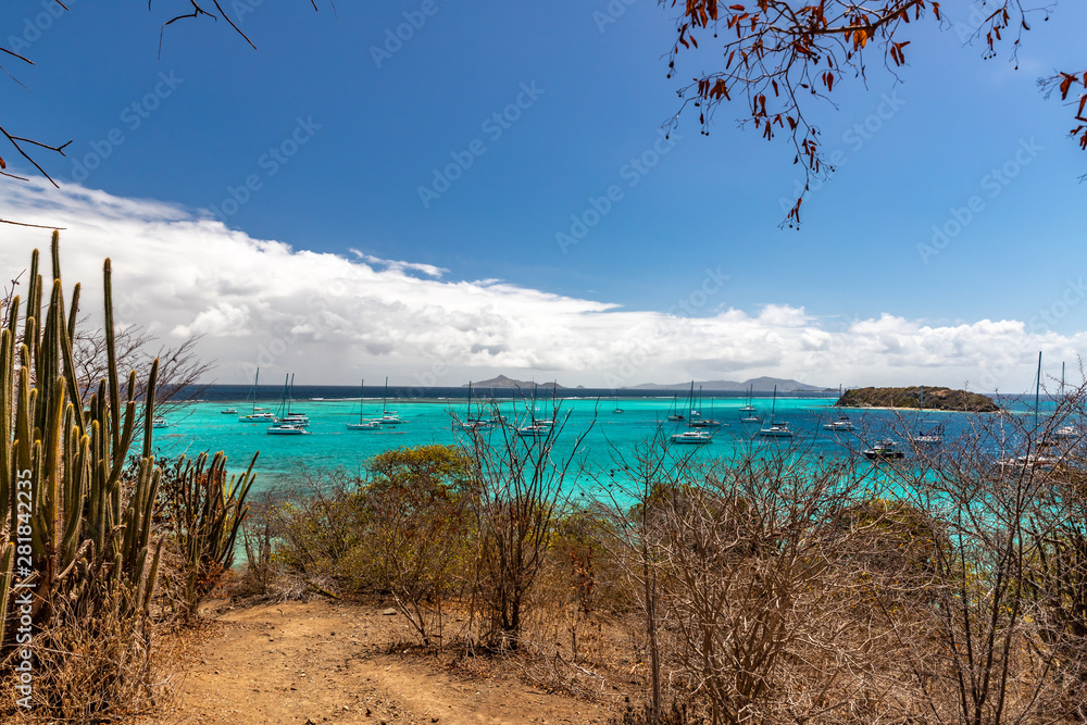 Saint Vincent and the Grenadines, Tobago Cays beach Saint Vincent and the Grenadines, Tobago Cays beach