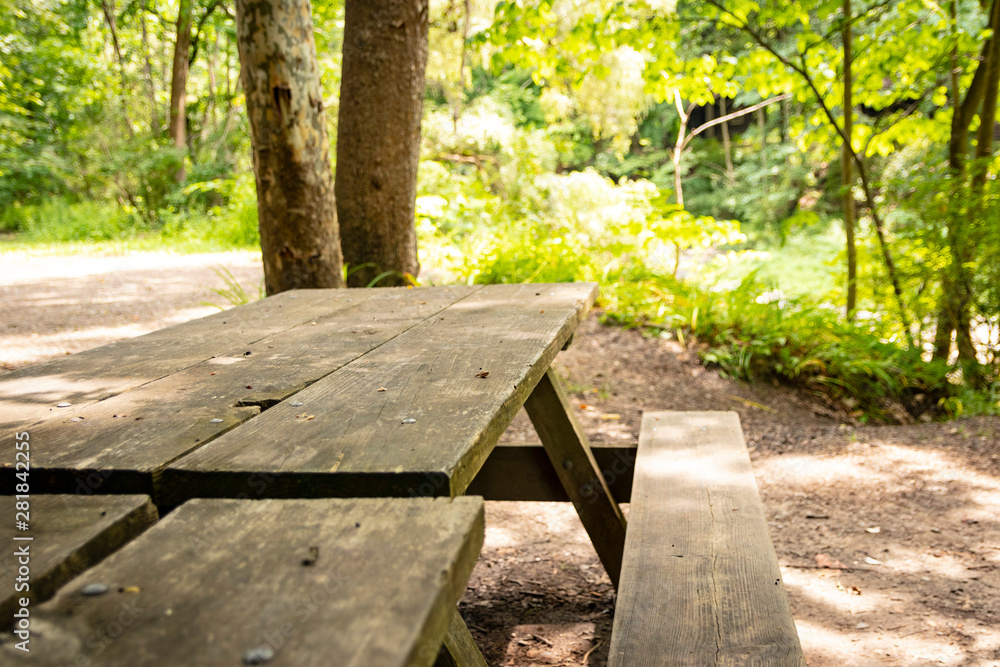Picnic table at recreational campsite or picnic site in the woods. Picnic table at recreational campsite or picnic site in the woods.