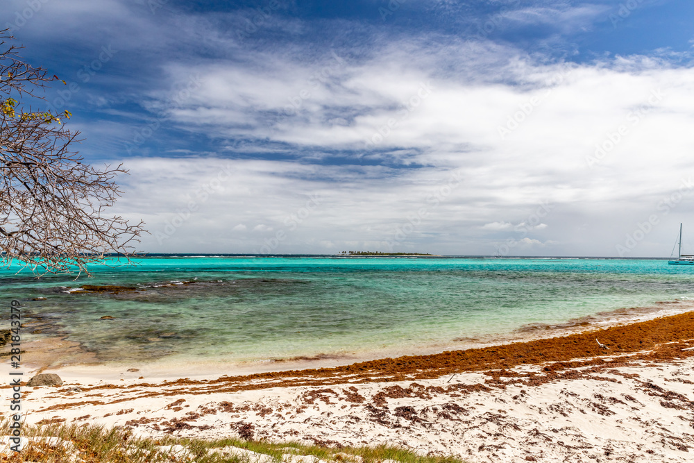 Saint Vincent and the Grenadines, Tobago Cays beach Saint Vincent and the Grenadines, Tobago Cays beach
