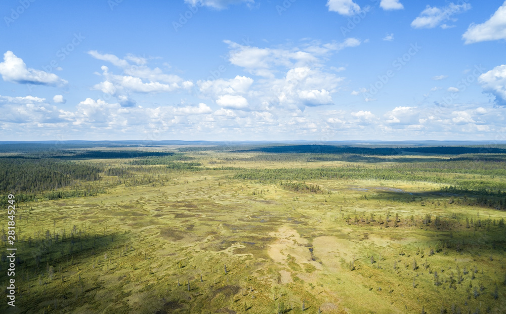 Swamp panorama from drone. Swampy landscape with blue sky. View of an impassable swamp from a height. Swamp panorama from drone. Swampy landscape with blue sky. View of an impassable swamp from a height.