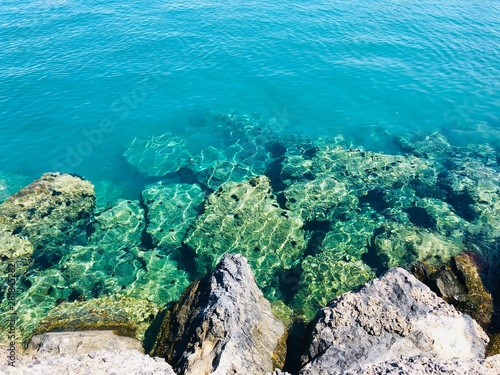 view of the sea and coral reef