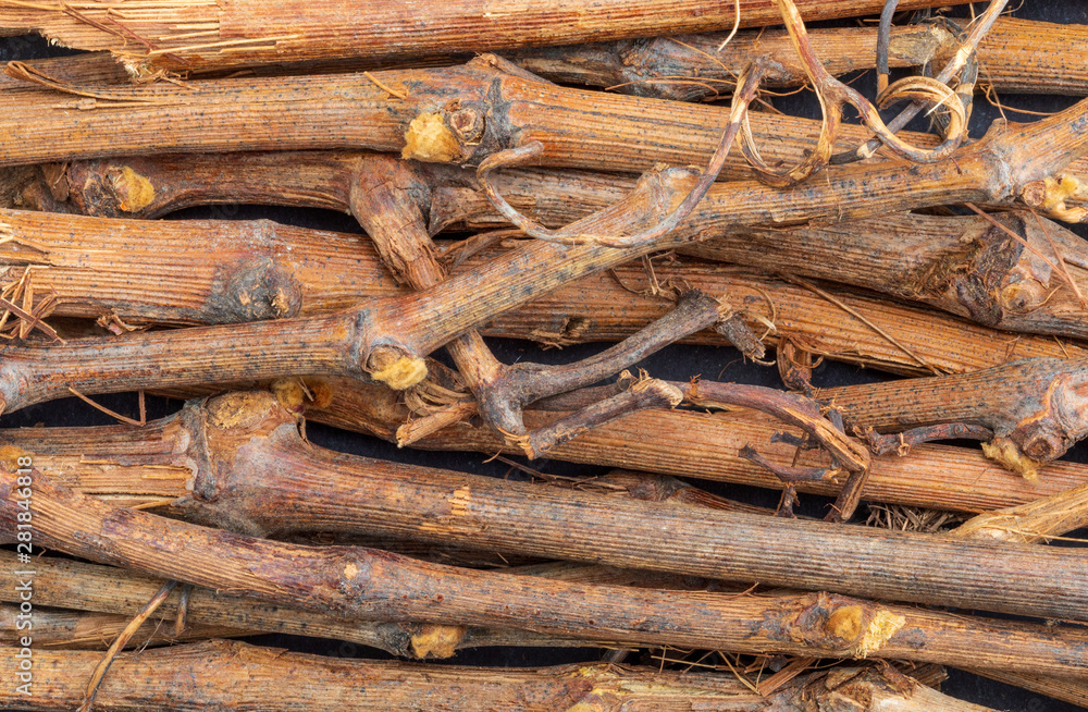 Vine shoot texture (collection of vegetable and natural fibers). Branches. Foreground. Vine shoot texture (collection of vegetable and natural fibers). Branches. Foreground.