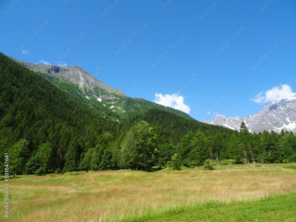 The Alps with its woods and glaciers near Monte Rosa and the town of Macugnaga, Italy - July 2019.