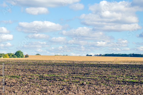 Agriculture plowed field and blue sky with clouds