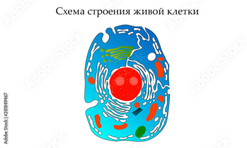 easter card with eggs