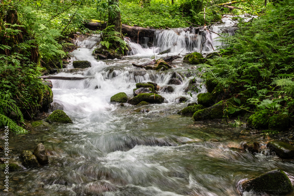 A Fast mountain stream in forest, surrounded by greenery A Fast mountain stream in forest, surrounded by greenery