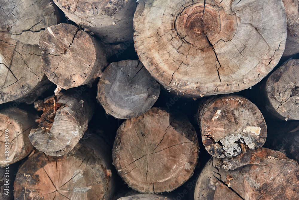 wood, tree, firewood, log, stack, timber, pile, cut, woodpile, logs, nature, lumber, texture, brown, forest, fire, wooden wood, tree, firewood, log, stack, timber, pile, cut, woodpile, logs, nature, lumber, texture, brown, forest, fire, wooden