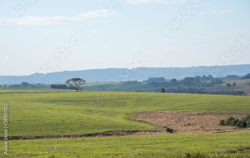 Rural landscape in agropastoral production areas. Fields in fallow 01.jpg