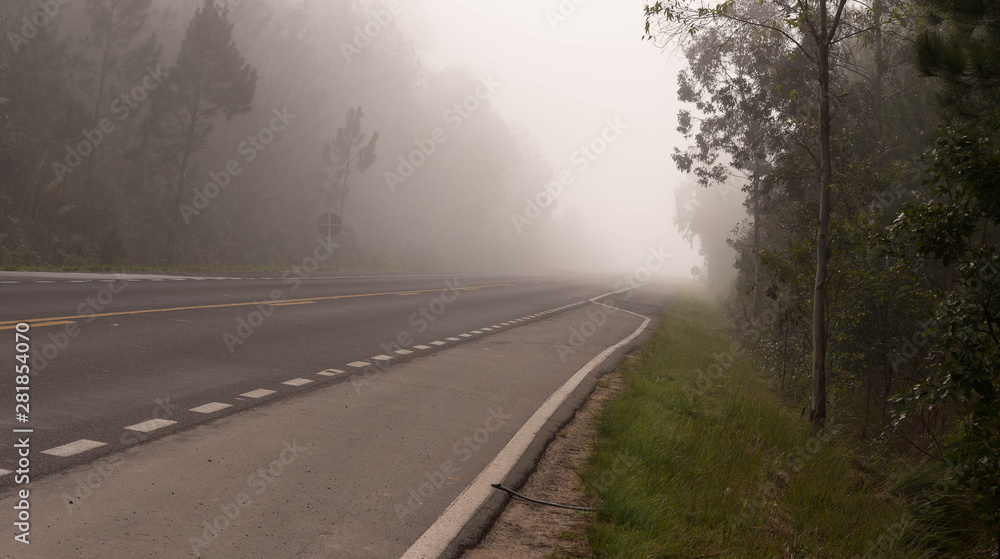 The freeway and the morning fog.jpg