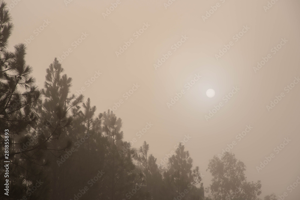The sun hidden behind the intense fog of the morning 02.jpg