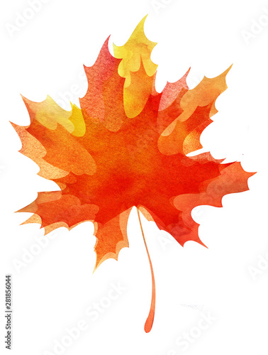Decorative background. Multilayer autumn maple leaf. Orange-yellow gradient. Abstract watercolor fill. Hand drawn illustration. Elements isolated on white. post card