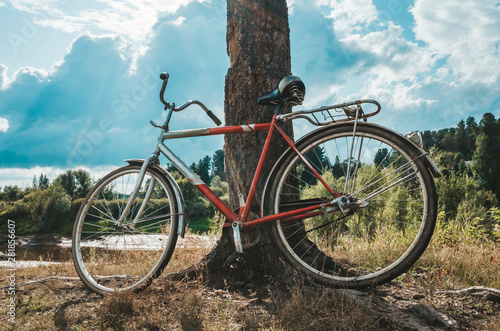 An old white-red bike stands by a tree trunk. Cloudy sky, bright rays of the sun. In the background is a forest. Rustic concept, rustic, landscape. Place for text.
