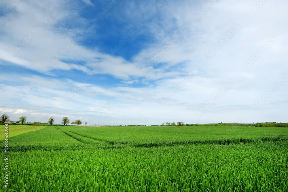Scenic view of endless lush pastures and farmlands of Ireland. Irish countryside with emerald green fields and meadows. Rural landscape. Scenic view of endless lush pastures and farmlands of Ireland. Irish countryside with emerald green fields and meadows. Rural landscape.