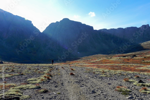 Autumn red valley in the mountains. Khibiny, Russia.. photo