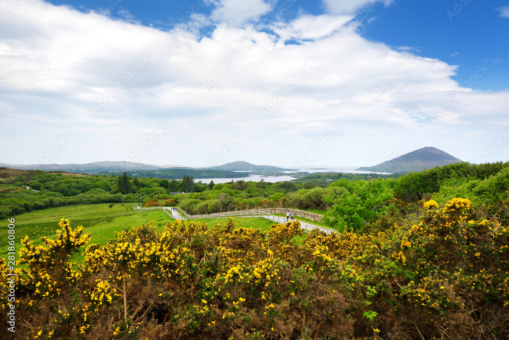 Connemara National Park, famous for bogs and heaths, watched over by its cone-shaped mountain, Diamond Hill, County Galway, Ireland