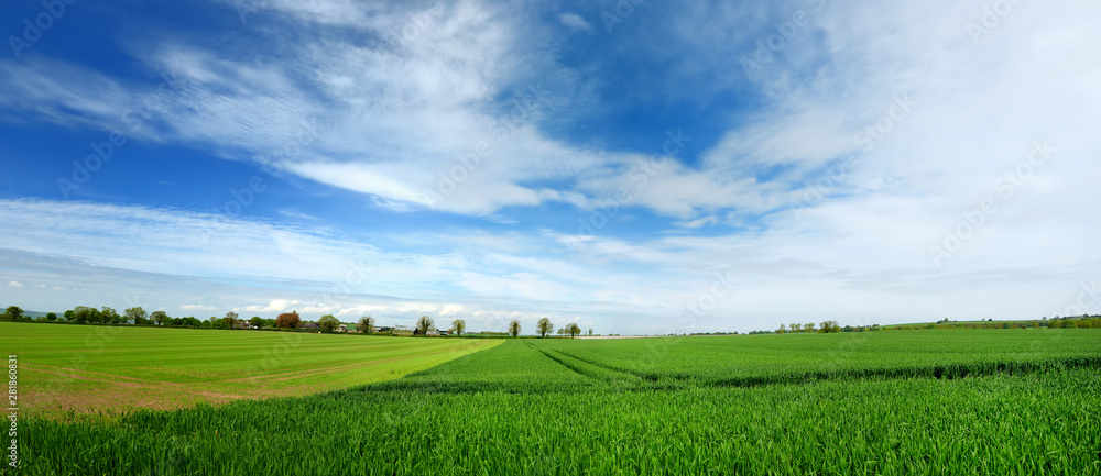 Scenic view of endless lush pastures and farmlands of Ireland. Irish countryside with emerald green fields and meadows. Rural landscape. Scenic view of endless lush pastures and farmlands of Ireland. Irish countryside with emerald green fields and meadows. Rural landscape.