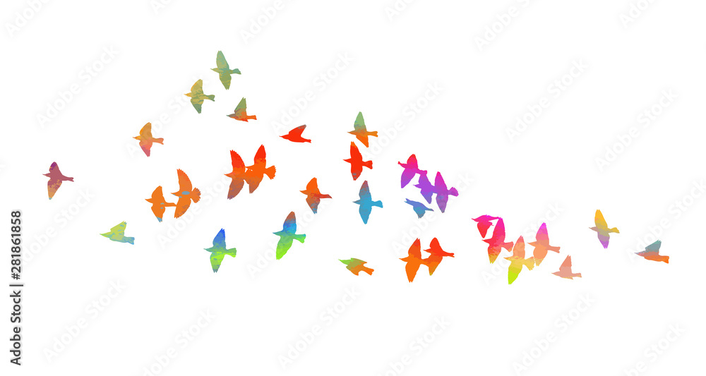 Obraz Wielobarwne ptaki. Stado latających tęczowych ptaków. Ilustracji wektorowych