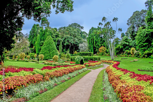 botanical Garden of Peradeniya photo