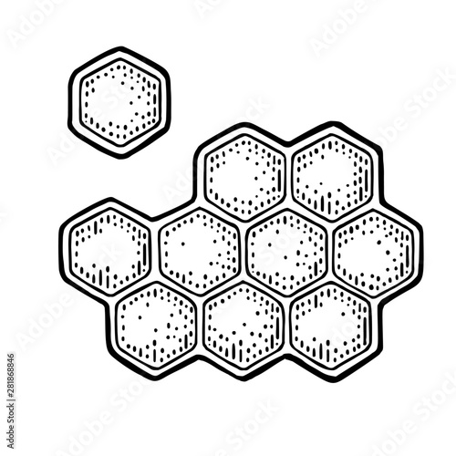 Honeycomb. Vintage engraved illustration