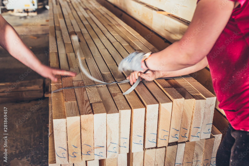 Women in the production of hands tied the board using nylon belts - sorting  lumber on the sawmill Stock Photo | Adobe Stock