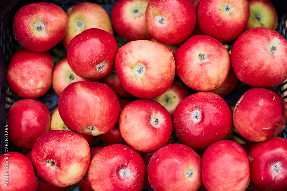 Red ripe apples, pile of fresh apple fruits, natural food Red ripe apples, pile of fresh apple fruits, natural food