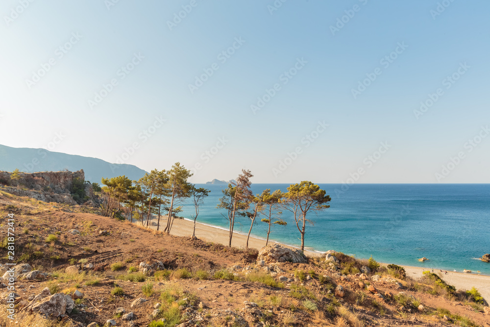 Pine trees on Mavikent beach, Mediterrenian sea, Turkey