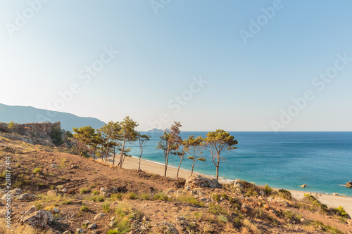 Pine trees on Mavikent beach, Mediterrenian sea, Turkey