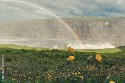 Yellow flowers and rainbow