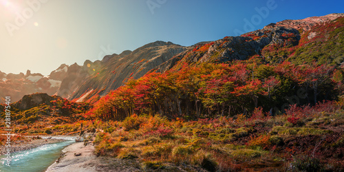 Panoramic view of magical colorful fairytale forest at Tierra del Fuego National Park under direct sun light, Patagonia, Argentina, Autumn time, blue sky