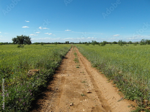 Landscapes of the Demnate region (southern Morocco)