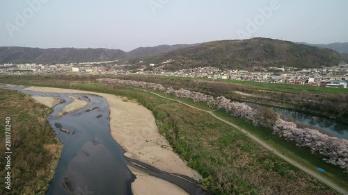 Cherry blossom at Sewaritei, Kyoto, Honshu, Japan, Asia photo