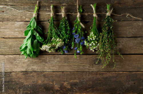 Fresh medicinal herbs. Medicinal herbs (chamomile, wormwood, yarrow, mint, St. John's wort and chicory) on an old wooden board. View from above. Copy space