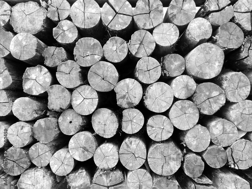 Old Wooden Background Old Wooden Background