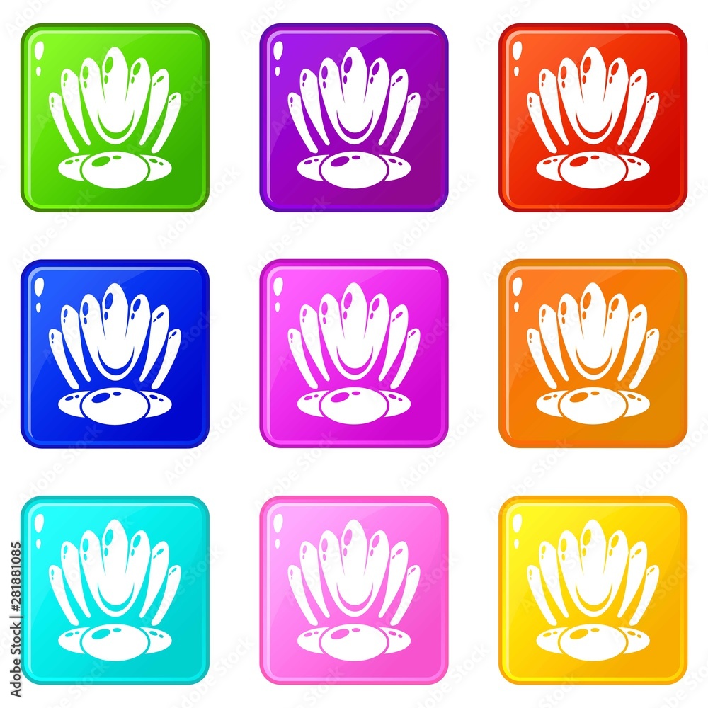 Big shell icons set 9 color collection isolated on white for any design Big shell icons set 9 color collection isolated on white for any design